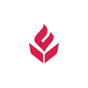 Lumiere Education