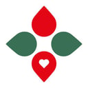 Stipendium Hungaricum