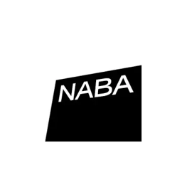Logo of Nuova Accademia di Belle Arti