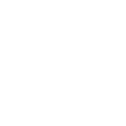 Stanford Pre-Collegiate Studies