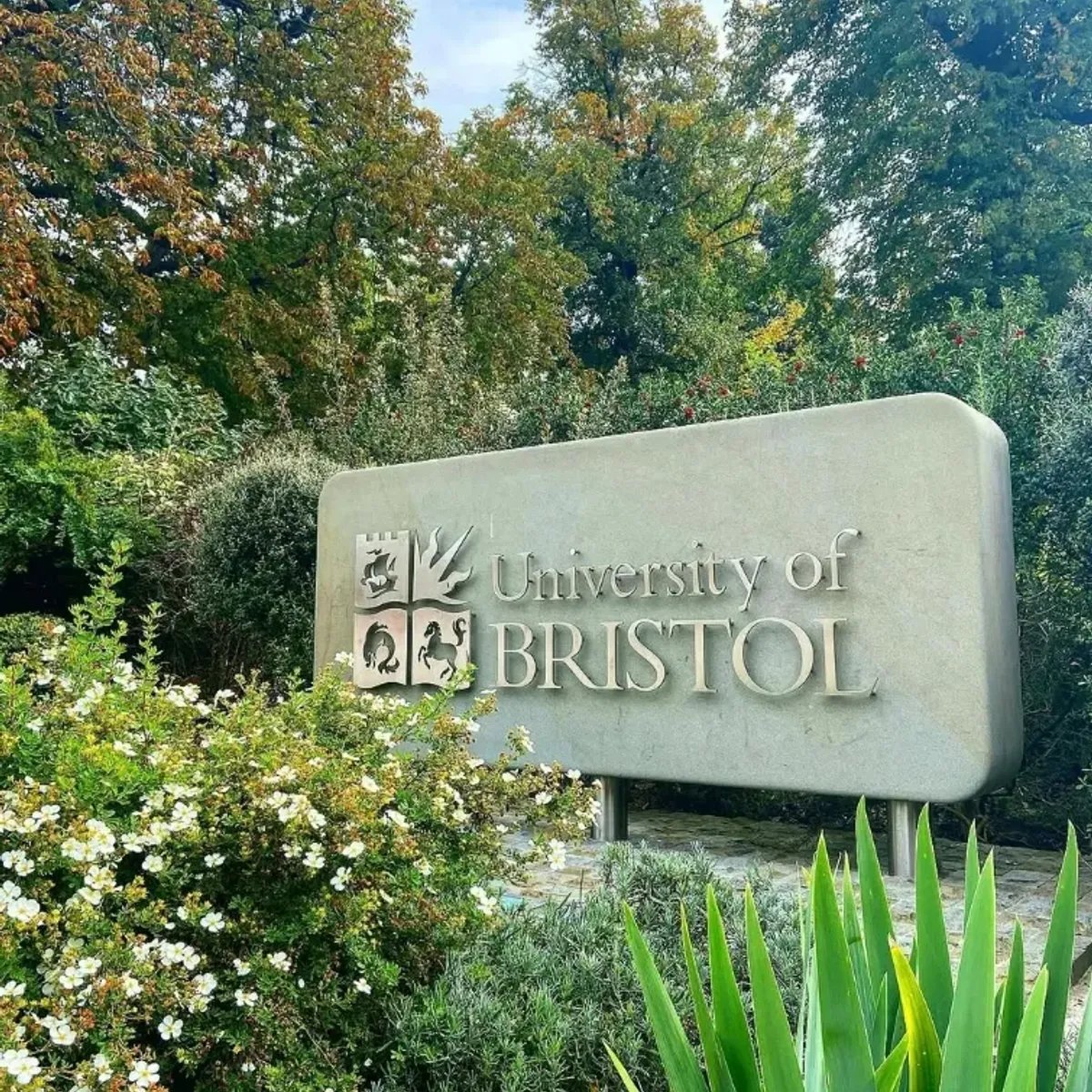 Recent story about University of Bristol