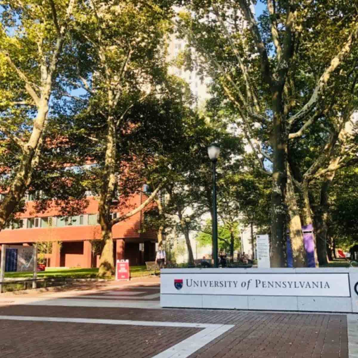علوم الكمبيوتر لغير التقنيين في جامعة بنسلفانيا