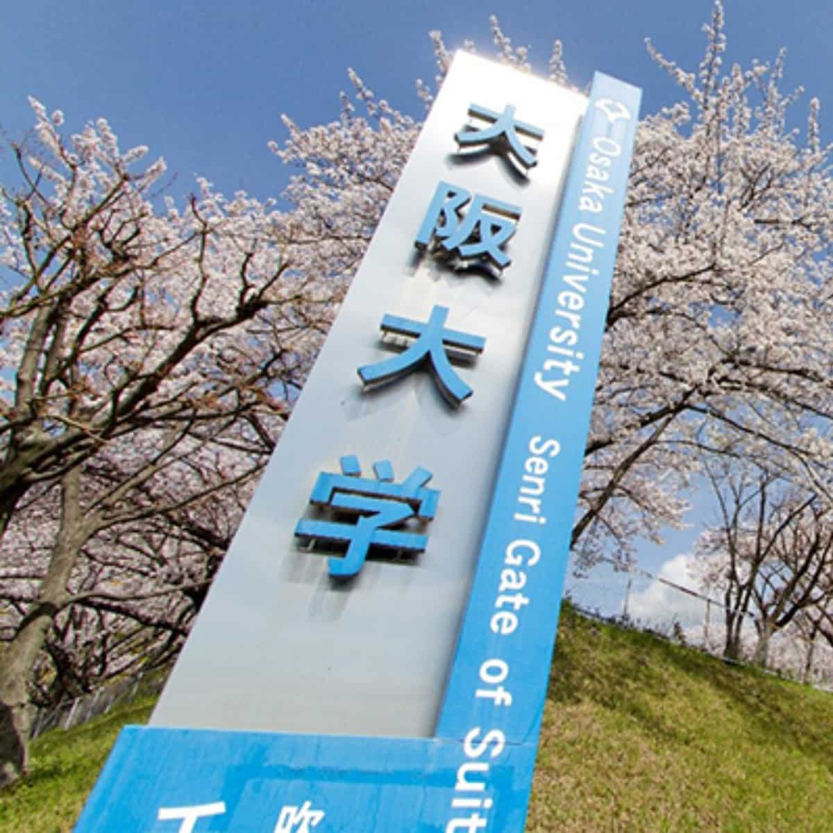 Doctorado en Política Internacional en Japón como becario MEXT
