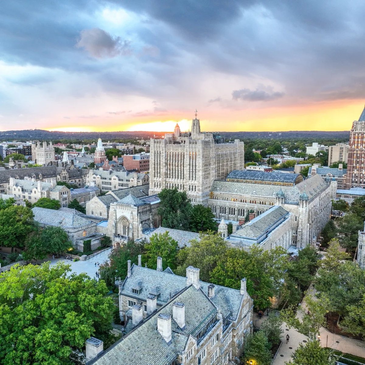 السعي نحو التميز: رحلتي من مدرسة داخلية سويسرية إلى جامعة Yale