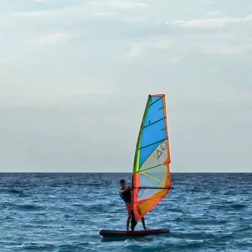 Image of User