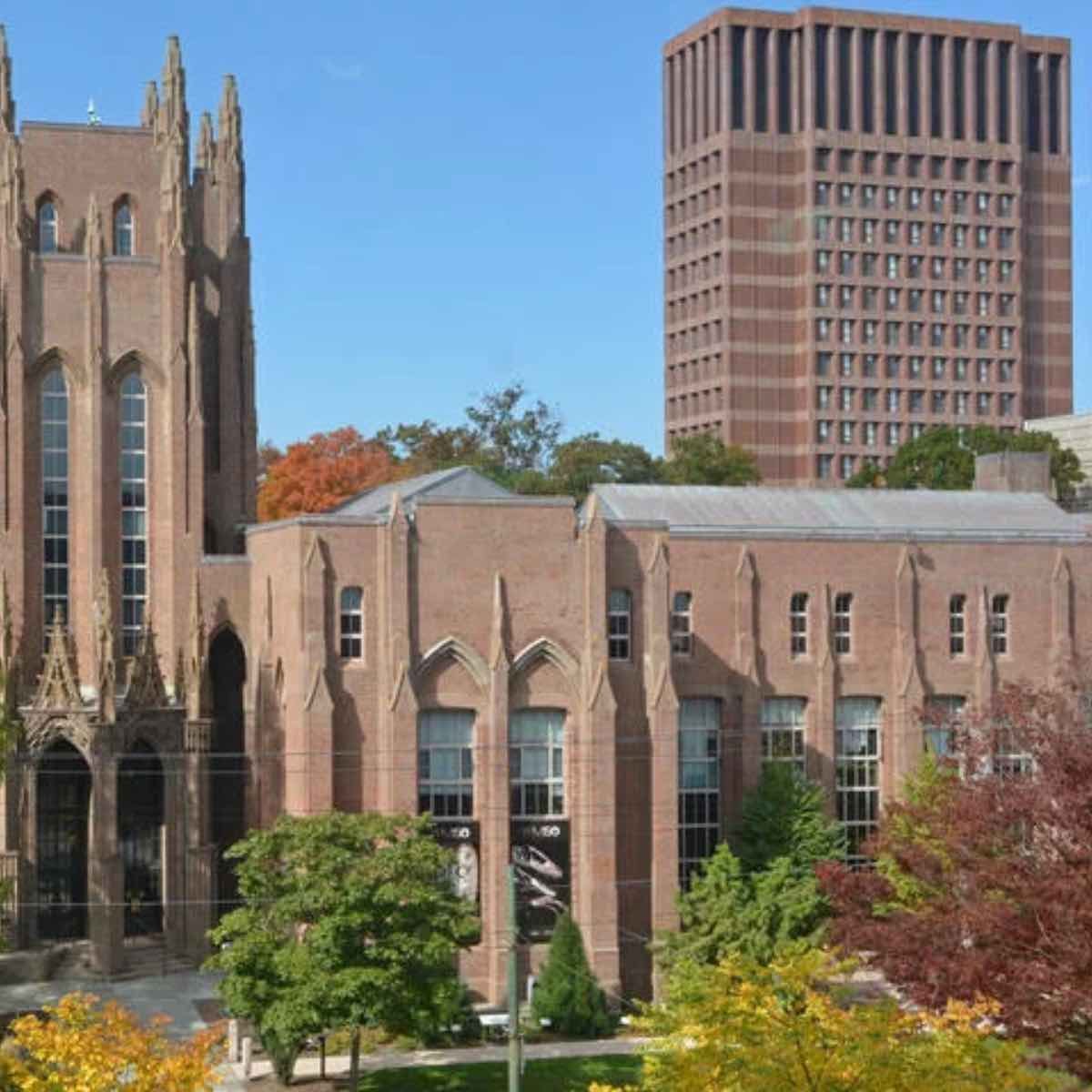 From Angola to New Haven: How I Got into Yale University with a full scholarship