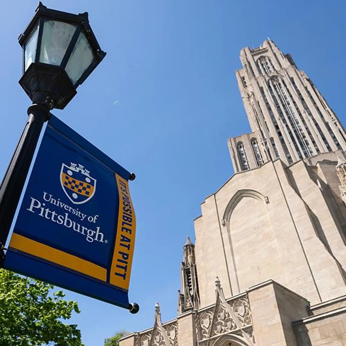 From Bangalore to Pitt: My Journey as a Finance Student in the International Landscape