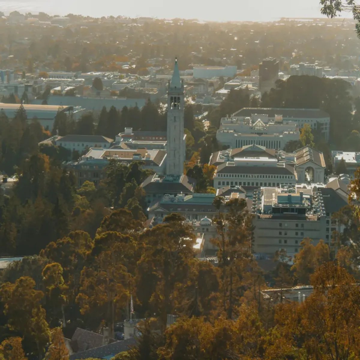 Recent story about University of California-Berkeley