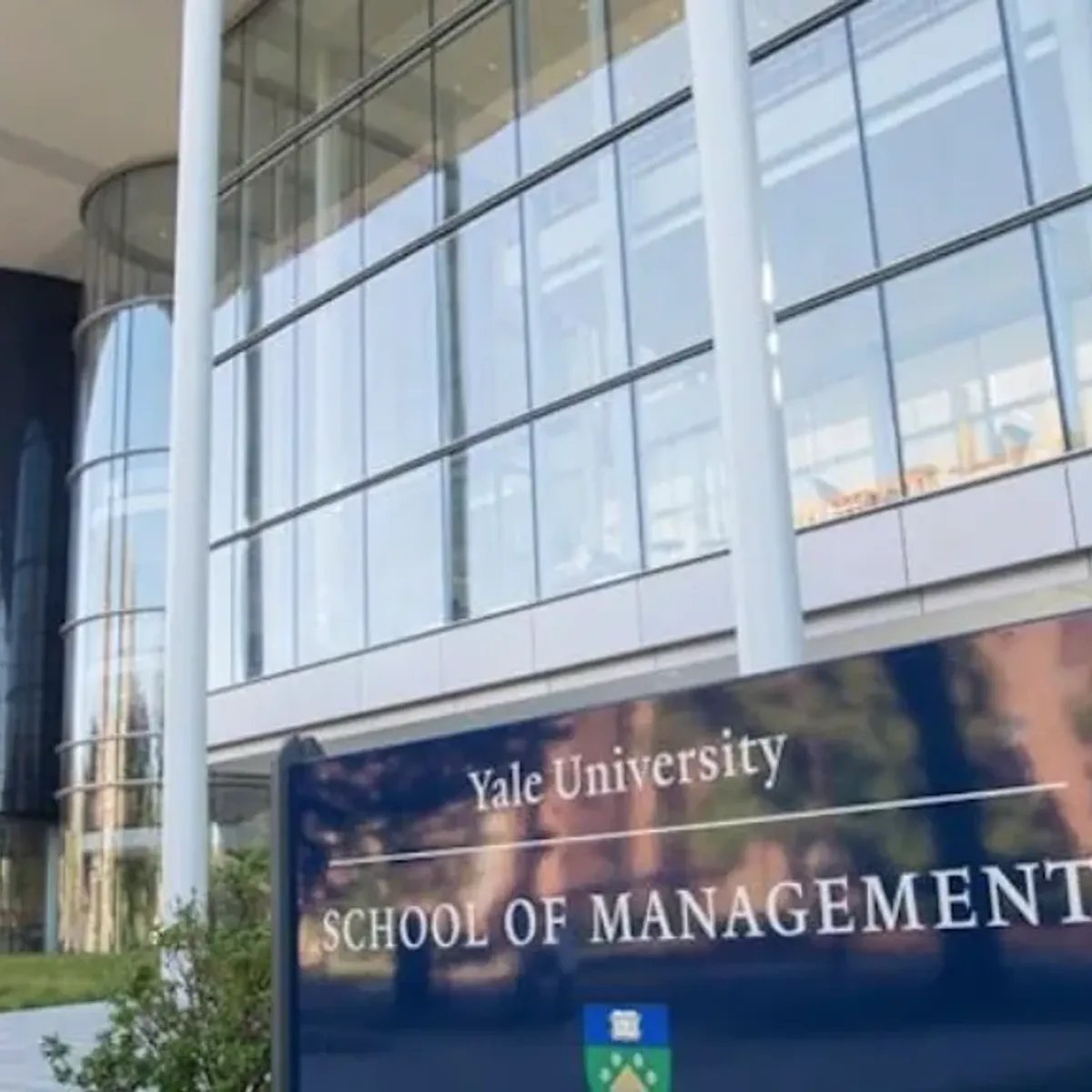 From Lahore to MBA at Yale: My Journey as a Silver Scholar