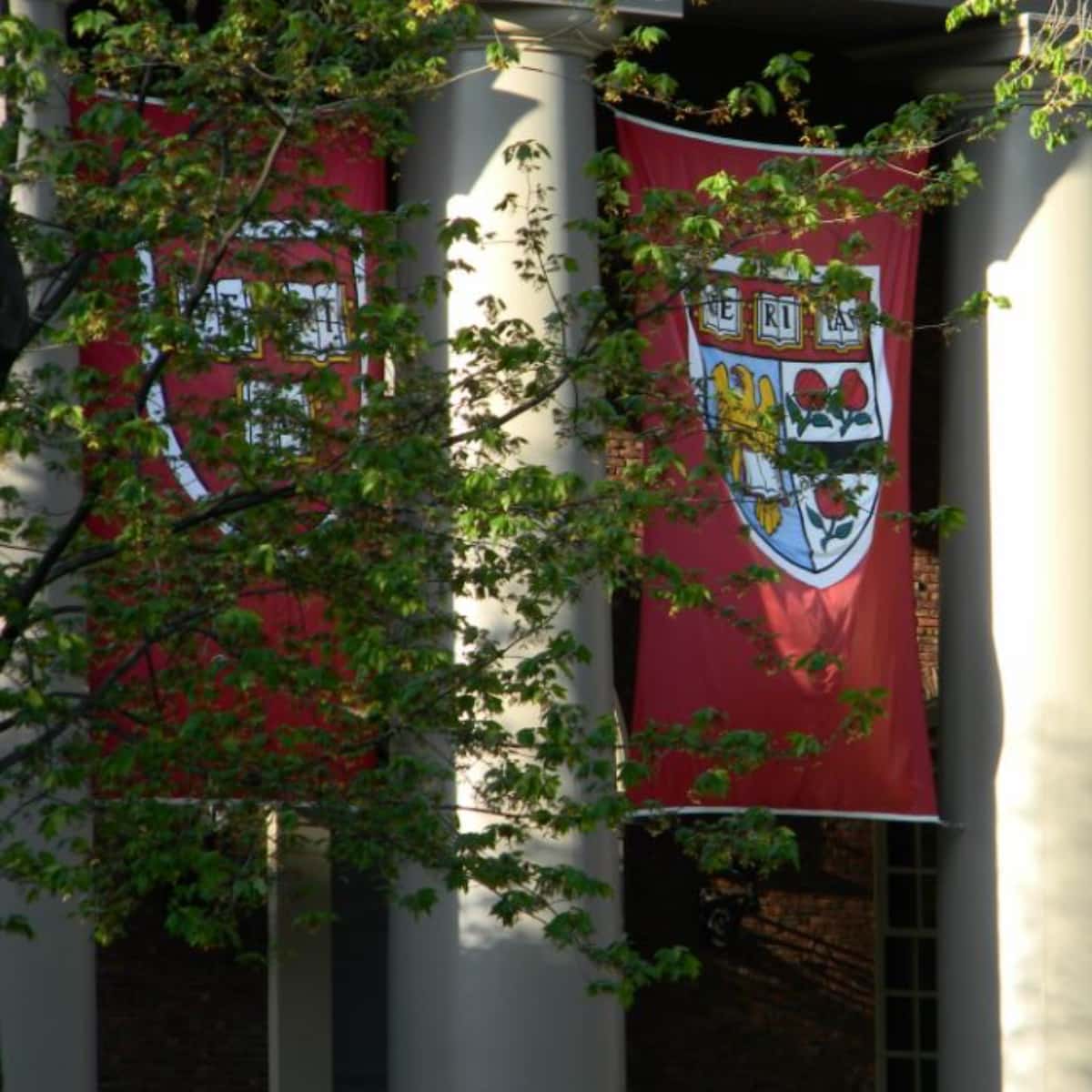 How I got into Harvard from a Japanese High School