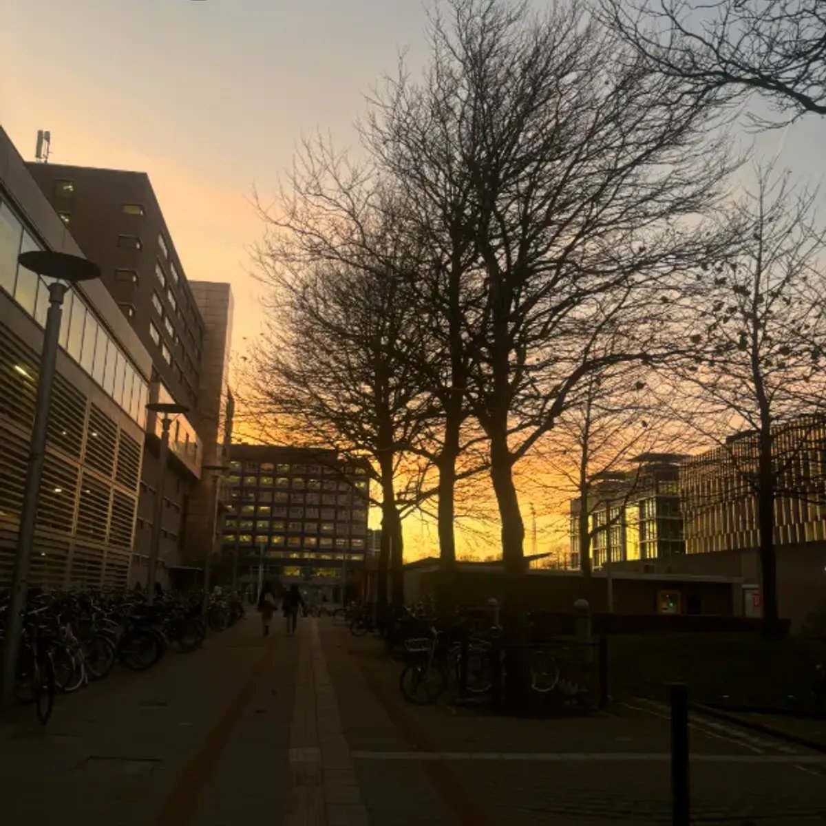 "Know Thyself": How I Overcame Every Challenge on My Journey from Romania to Studying Media in the Netherlands