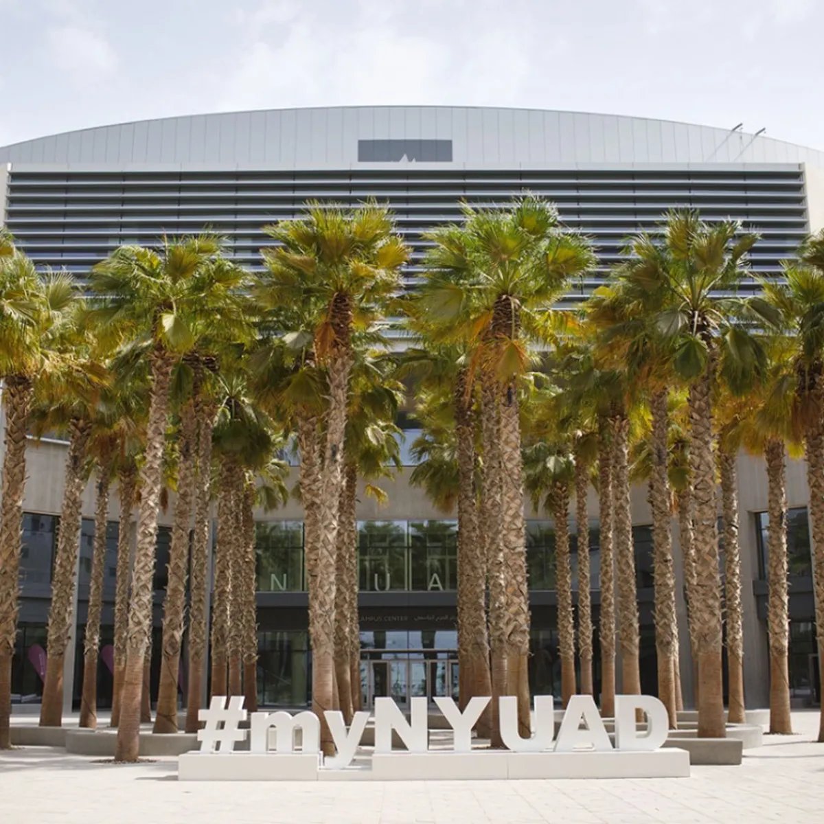 Navigating College Applications: My Path to NYU Abu Dhabi Class of 2029