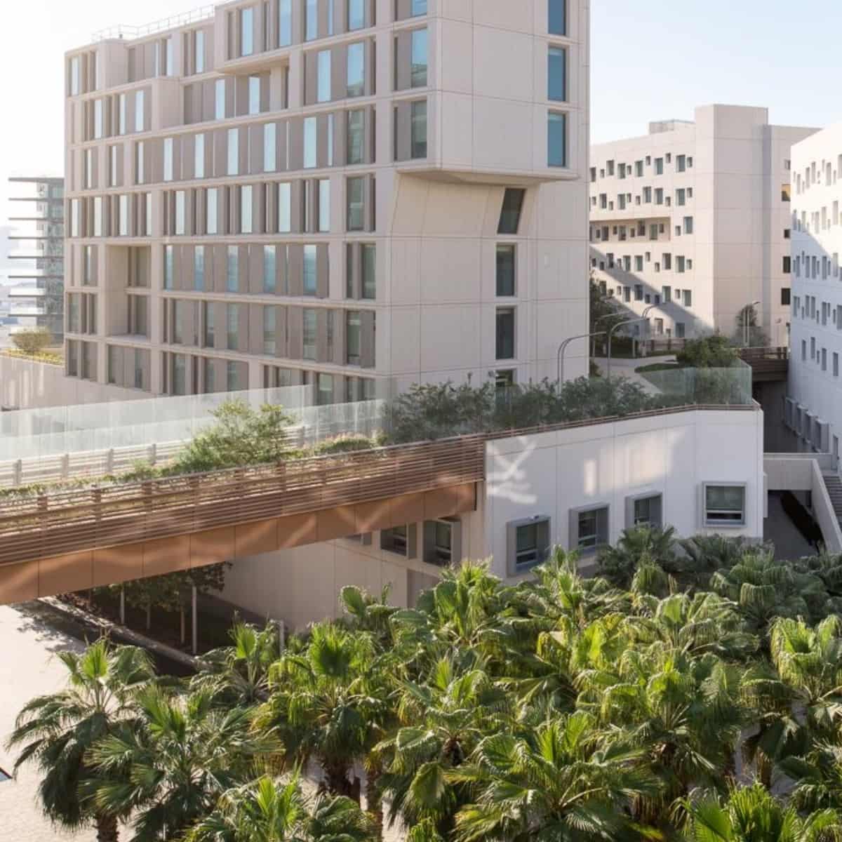 Why I Decided to Study at NYU Abu Dhabi - Class of 2026