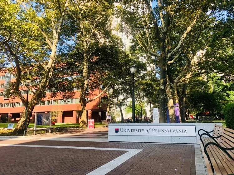 Campus de UPenn, Locust Walk