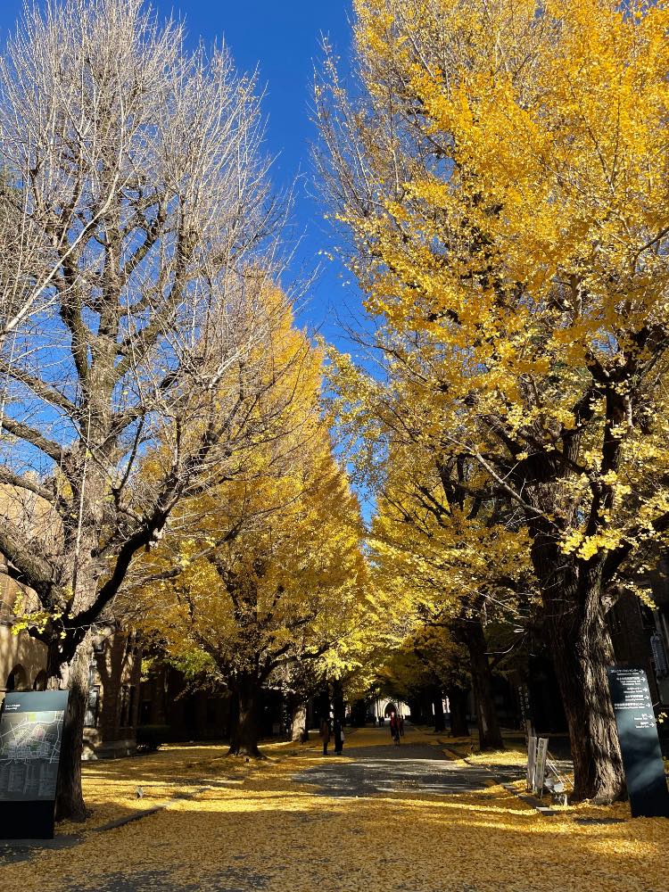 Кампус осенью🍂