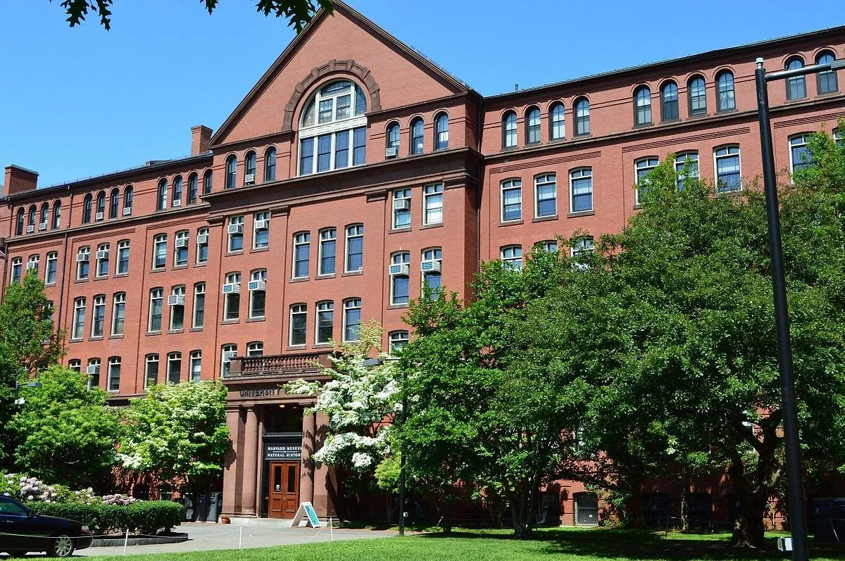 El Museo de Historia Natural de Harvard
